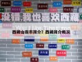 西藏山南市簡介？西藏簡介概況