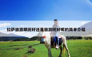拉薩旅游跟團好還是旅游團好呢的簡單介紹