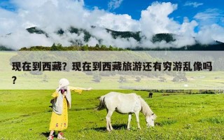 現在到西藏？現在到西藏旅游還有窮游亂像嗎?