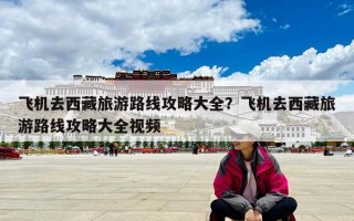 飛機(jī)去西藏旅游路線攻略大全？飛機(jī)去西藏旅游路線攻略大全視頻