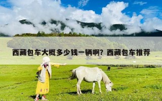 西藏包車大概多少錢一輛啊？西藏包車推薦