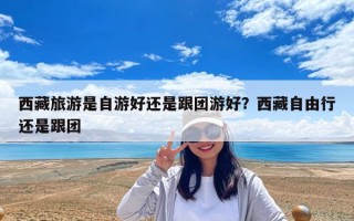 西藏旅游是自游好還是跟團游好？西藏自由行還是跟團