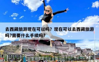 去西藏旅游現在可以嗎？現在可以去西藏旅游嗎?需要什么手續嗎?