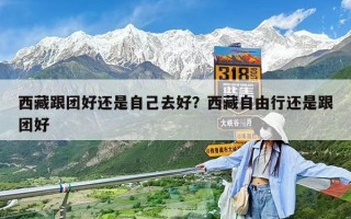 西藏跟團好還是自己去好？西藏自由行還是跟團好