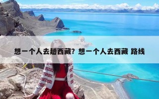想一個人去趟西藏？想一個人去西藏 路線