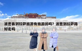波密縣到拉薩旅游有旅游團嗎？波密到拉薩路好走嗎