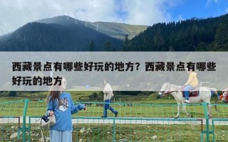 西藏景點(diǎn)有哪些好玩的地方？西藏景點(diǎn)有哪些好玩的地方