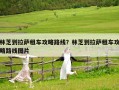林芝到拉薩租車攻略路線？林芝到拉薩租車攻略路線圖片