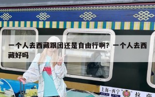 一個(gè)人去西藏跟團(tuán)還是自由行啊？一個(gè)人去西藏好嗎
