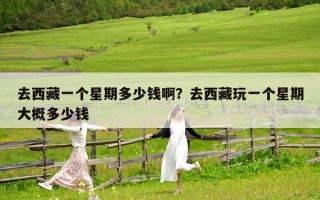 去西藏一個(gè)星期多少錢啊？去西藏玩一個(gè)星期大概多少錢