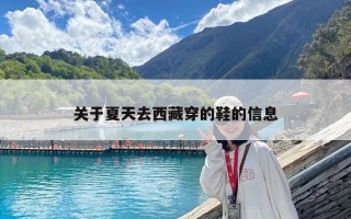 關于夏天去西藏穿的鞋的信息