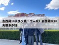 去西藏10天多少錢一個人玩？去西藏玩10天要多少錢