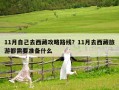 11月自己去西藏攻略路線？11月去西藏旅游都需要準備什么