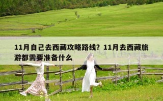 11月自己去西藏攻略路線？11月去西藏旅游都需要準備什么