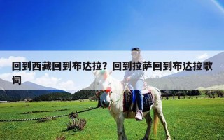 回到西藏回到布達拉？回到拉薩回到布達拉歌詞
