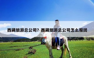 西藏旅游總公司？西藏旅游總公司怎么報團