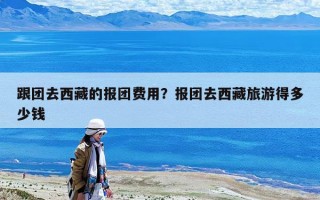 跟團去西藏的報團費用？報團去西藏旅游得多少錢