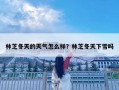 林芝冬天的天氣怎么樣？林芝冬天下雪嗎