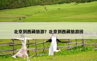 北京到西藏旅游？北京到西藏旅游團