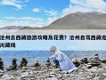 滄州去西藏旅游攻略及花費？滄州自駕西藏走川藏線