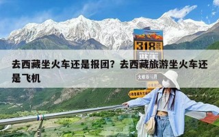 去西藏坐火車還是報(bào)團(tuán)？去西藏旅游坐火車還是飛機(jī)