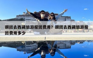 跟團(tuán)去西藏旅游報(bào)團(tuán)費(fèi)用？跟團(tuán)去西藏旅游報(bào)團(tuán)費(fèi)用多少