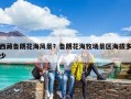 西藏魯朗花海風景？魯朗花海牧場景區(qū)海拔多少