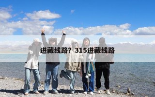 進藏線路？315進藏線路
