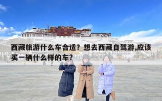 西藏旅游什么車合適？想去西藏自駕游,應(yīng)該買一輛什么樣的車?