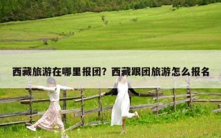 西藏旅游在哪里報團？西藏跟團旅游怎么報名