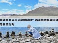 西藏是自由行還是跟團好？西藏旅游是跟團還是自由行好