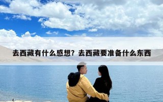 去西藏有什么感想？去西藏要準(zhǔn)備什么東西
