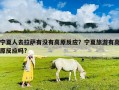 寧夏人去拉薩有沒有高原反應？寧夏旅游有高原反應嗎?