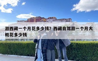 游西藏一個月花多少錢？西藏自駕游一個月大概花多少錢