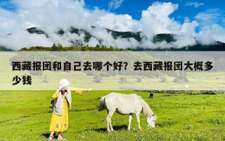 西藏報團和自己去哪個好？去西藏報團大概多少錢