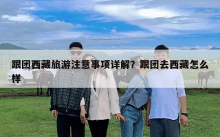 跟團(tuán)西藏旅游注意事項詳解？跟團(tuán)去西藏怎么樣