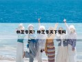林芝冬天？林芝冬天下雪嗎