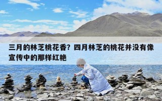 三月的林芝桃花香？四月林芝的桃花并沒有像宣傳中的那樣紅艷