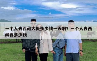 一個人去西藏大概多少錢一天?。恳粋€人去西藏要多少錢