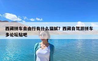 西藏拼車(chē)自由行有什么貓膩？西藏自駕游拼車(chē)多論壇貼吧