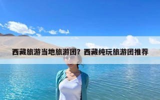 西藏旅游當地旅游團？西藏純玩旅游團推薦