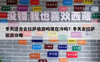 冬天適合去拉薩旅游嗎現在冷嗎？冬天去拉薩旅游攻略