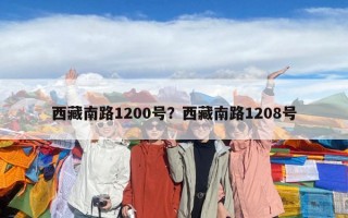 西藏南路1200號？西藏南路1208號