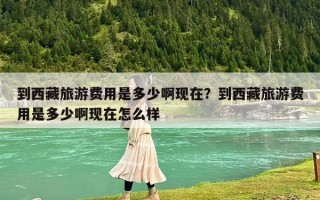 到西藏旅游費用是多少啊現在？到西藏旅游費用是多少啊現在怎么樣