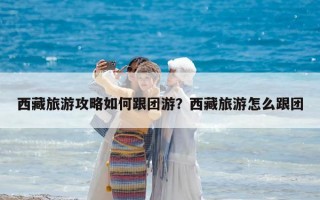 西藏旅游攻略如何跟團游？西藏旅游怎么跟團