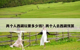 兩個(gè)人西藏玩要多少錢？?jī)蓚€(gè)人去西藏預(yù)算