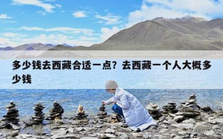 多少錢去西藏合適一點？去西藏一個人大概多少錢