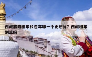 西藏旅游租車和包車哪一個(gè)更劃算？西藏租車劃算嗎