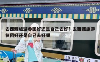 去西藏旅游參團好還是自己去好？去西藏旅游參團好還是自己去好呢