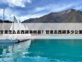 甘肅怎么去西藏米林縣？甘肅去西藏多少公里